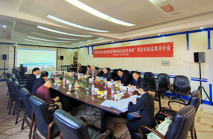 线虫对胁迫的感知和响应机制 anli.jpg